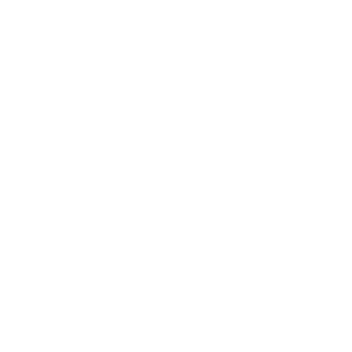 Nevik Technology Logo